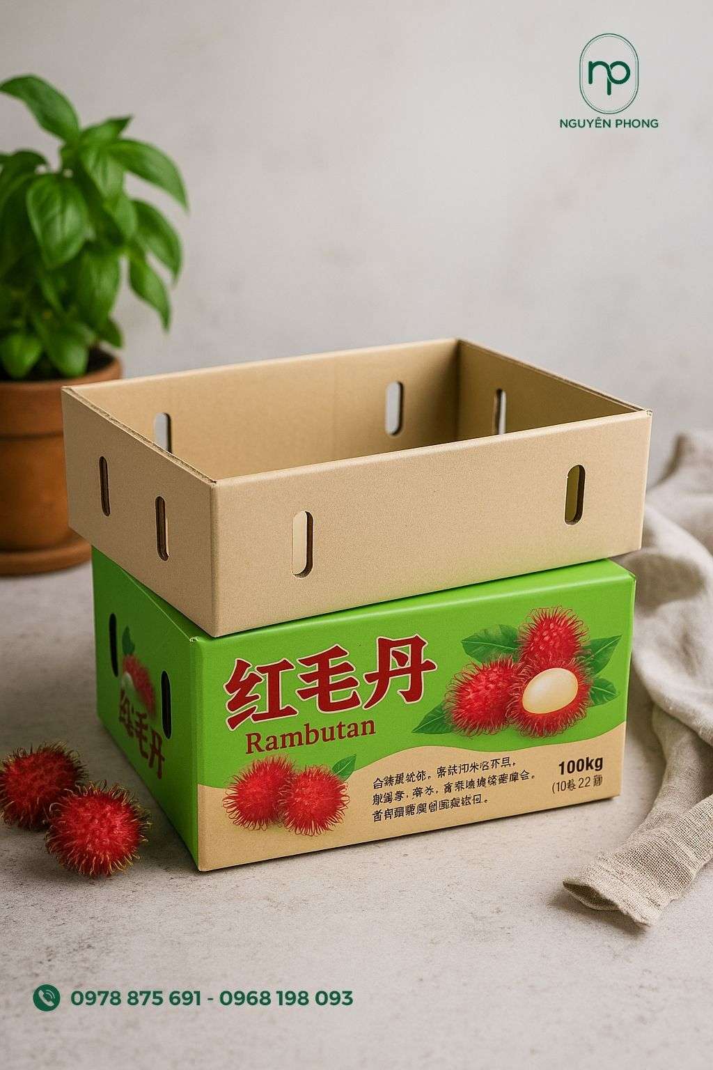 Hộp carton đựng chôm chôm nắp rời
